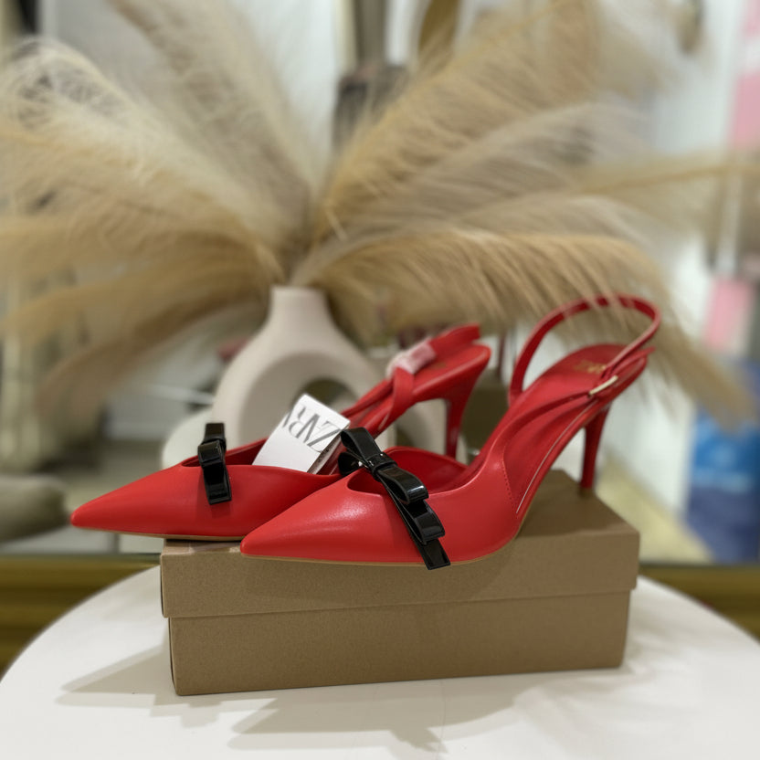 Zara Pointed Toe Shoe