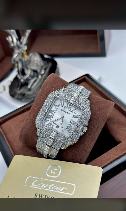 Catier Watch for Men