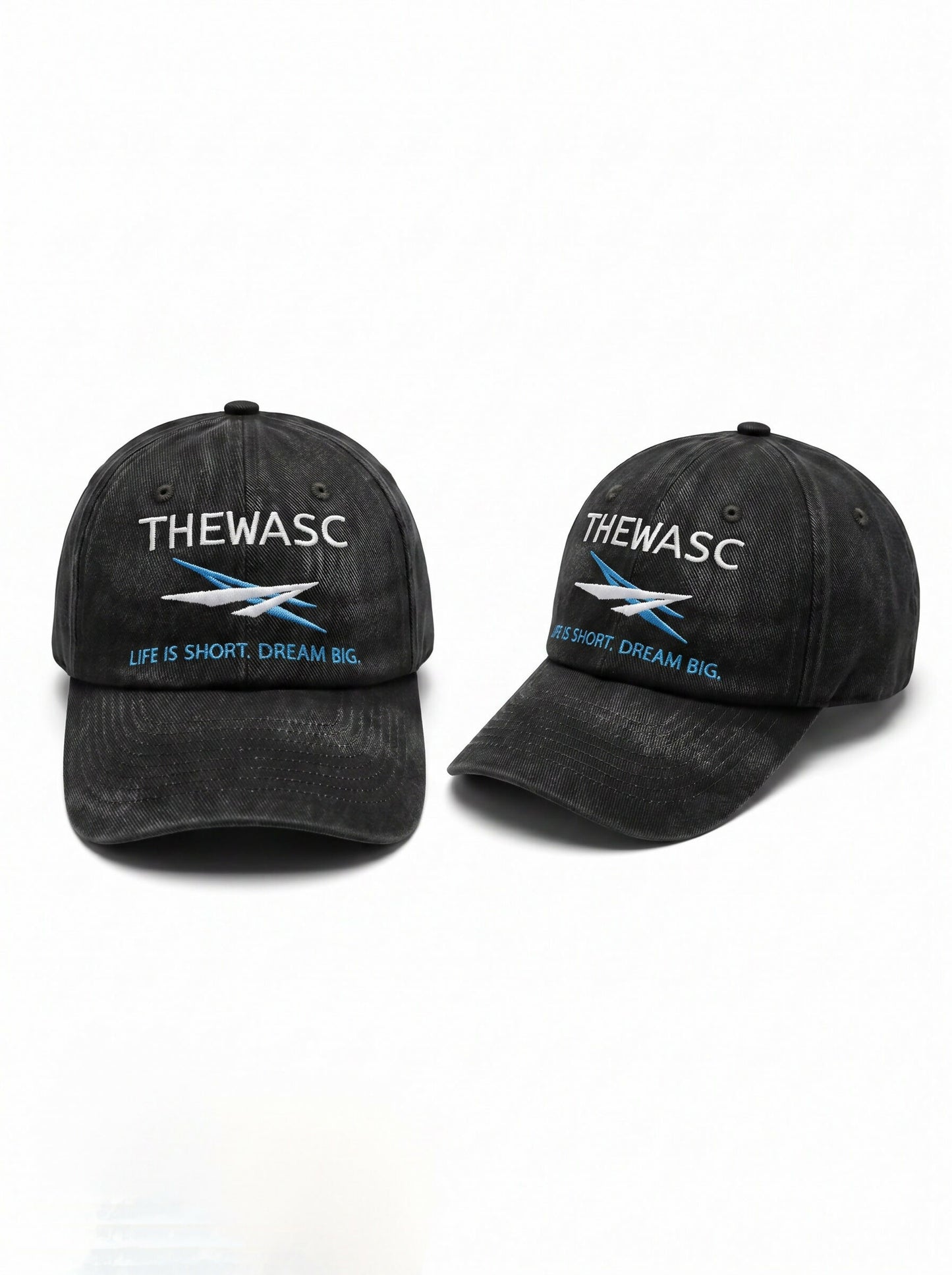THEWASC Dream Big Premium Washed Baseball Cap