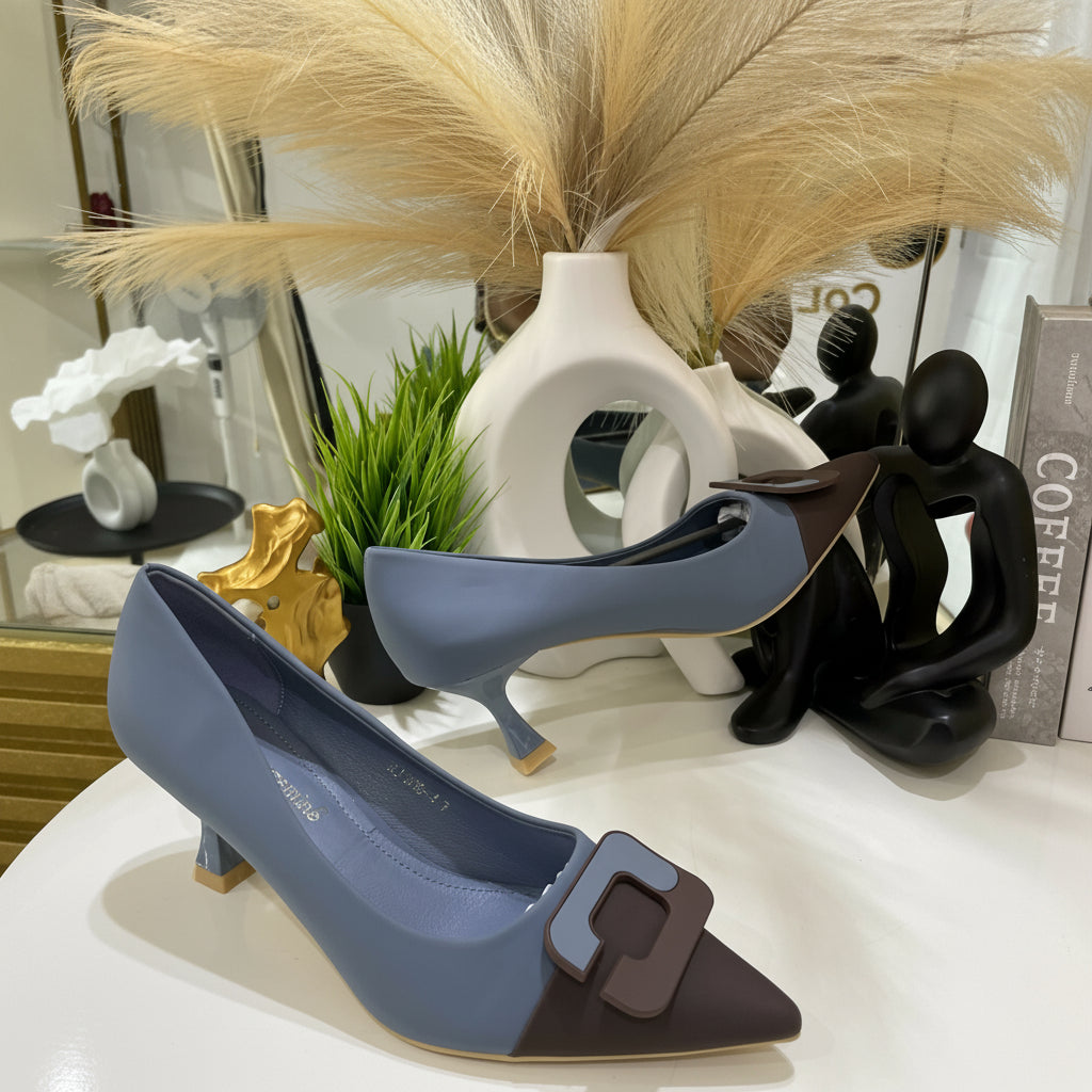 Two-Tone Pointed Toe Heel Shoe
