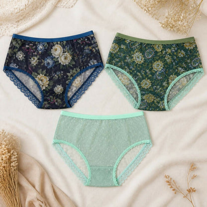 Soft Mesh Brief Panties - Set of Three